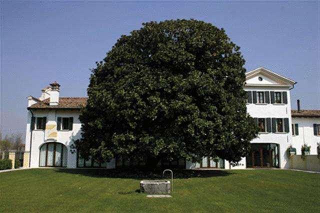 Agritur Fossa Mala - Fiume Veneto Hotel Exterior foto